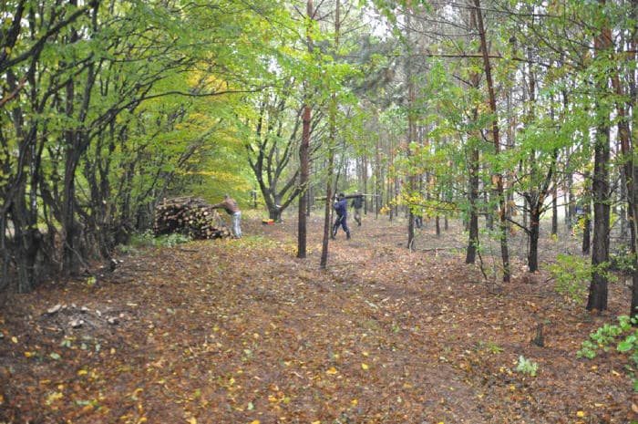 Friedhof