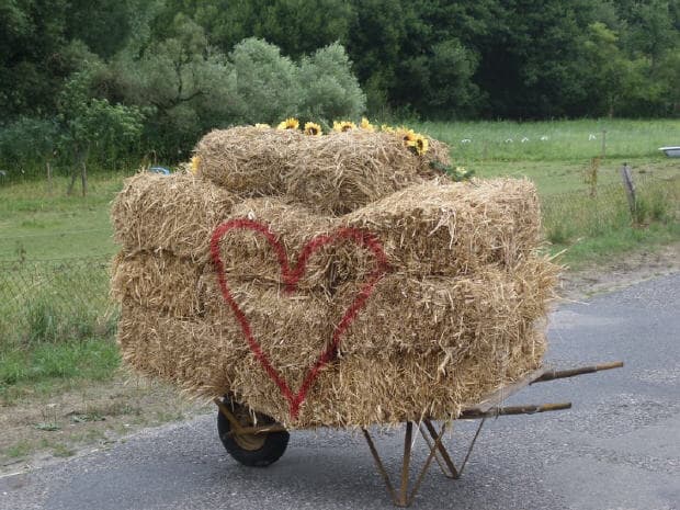 Das Jahr der Hochzeiten in Berlinchen